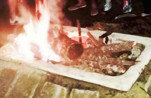 Sítio Preguiça - Foto 67