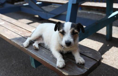 Rod and Line - Photo 9