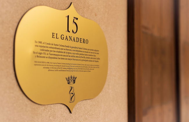 Palacio Bucarelli - Foto 43