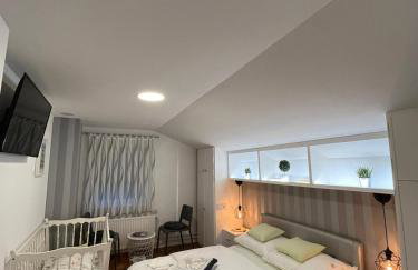 Apartments Krapinske Toplice Krtak Biba - Foto 27