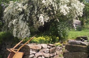 Alte Bäckerei Antonsthal - Foto 12