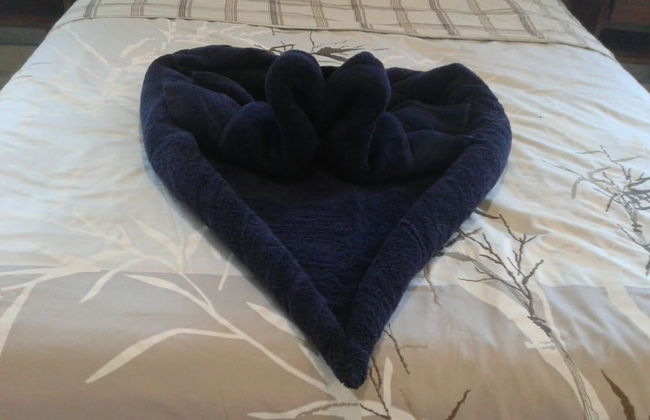 Departamento en Playa del Carmen. - Photo 2