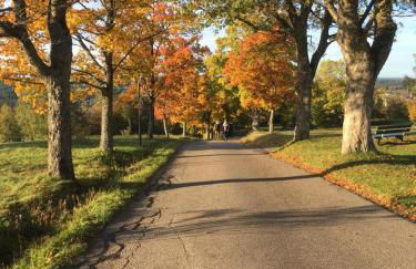 Blackforest Apartment - Foto 22