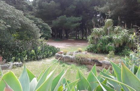 VillA LA PinetA - Foto 21