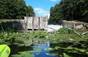 Domki i kajaki u Krysi - Foto 21