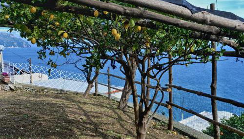 Chez Amélie - Foto 5