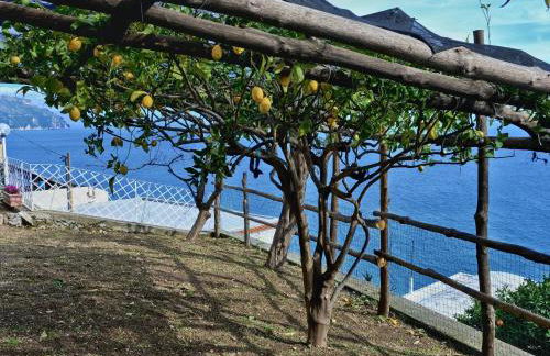 Chez Amélie - Foto 5