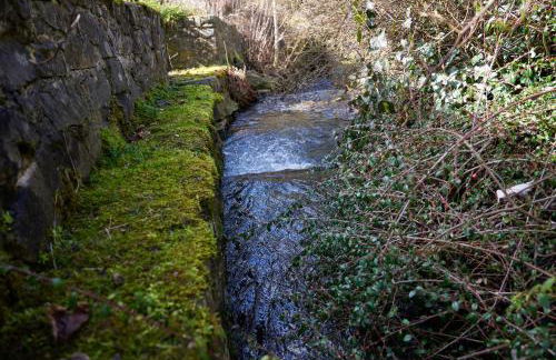 Familienglück Lautenthal - Foto 31