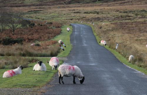 Griff Lodge - Foto 18