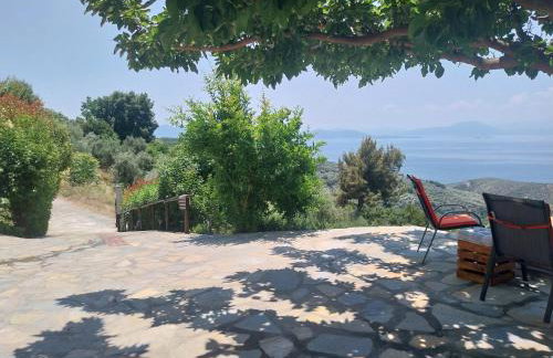 Panorama Studio Afetes - Photo 30