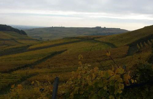 Logement "Le Kelsch" Vignoble proche de Strasbourg avec Sauna - Foto 45