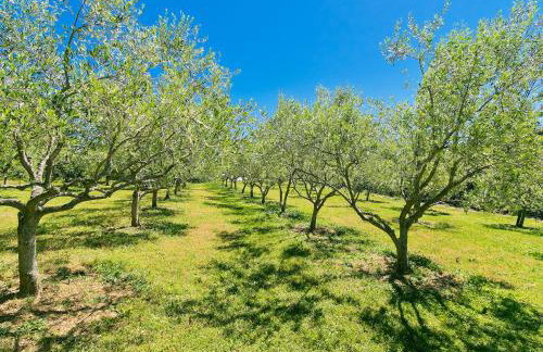 Holiday Home Margherita by Interhome - Foto 28