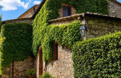 Borgo Livernano - Foto 18