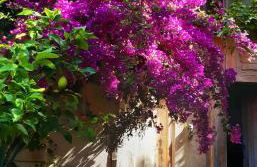 Maison et terrasse dans le jardin du Château de Gaillard - Foto 19