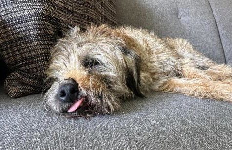 3 Bed in Winfrith Newburgh oc-w33007 - Foto 13