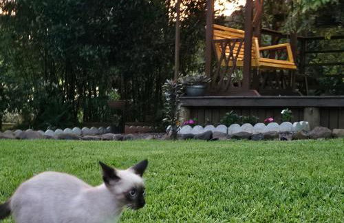 Chalé Girassol 4 - Foto 22