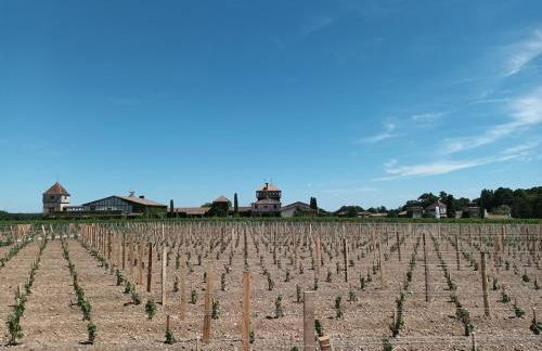 Gîte des Graves de Lilou - Foto 28