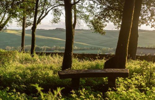 Borgo Belsedere - biofarm estate resort in Tuscany - Foto 9