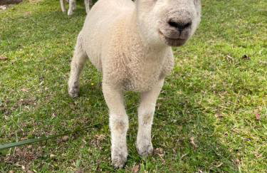 Cabana Efatah - Pousada Colina dos Ventos - Photo 27