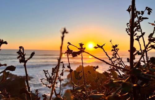 Résidence du Moulin Girard - Photo 24