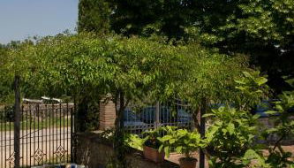 Agriturismo San Giusto - Foto 5