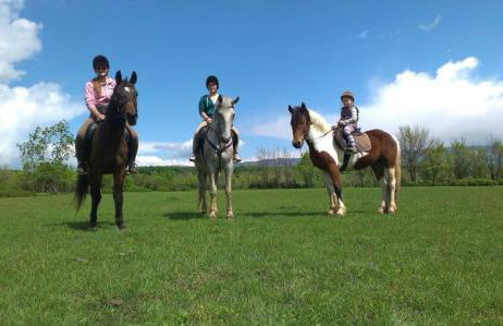 Njivice, otok Krk, apartman Dora - Foto 37