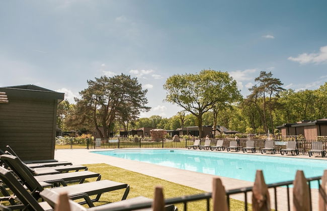 Soof Heuvelrug - Photo 7