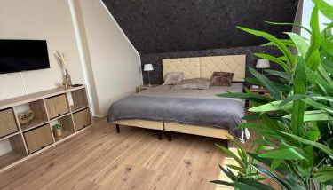 Appartement 1 - Zweizimmerwohnung mit Küche und Bad - Foto 5