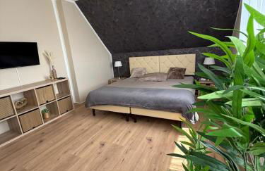 Appartement 1 - Einzimmerwohnung mit Küche und Bad - Foto 1