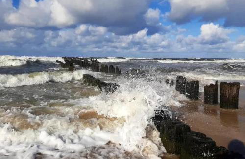 Szare Stodoły Domki - Foto 49