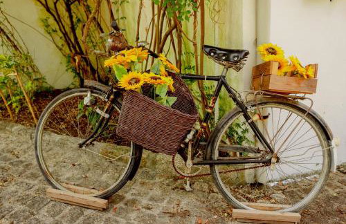 Quinta O Refúgio - Photo 46