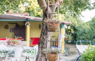 Impronta di Gaia - Photo 40