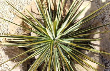 Privé vakantiewoning "Casa Stirio" met zwembad regio calpé-jalon - Foto 38