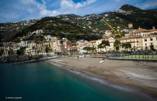 Brasca Amalfi Rosa Canina - Foto 3