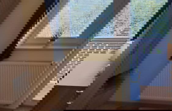 Vineyard cottage Na hribu - Photo 3