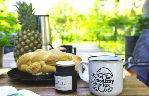 Jemioła Chaty Niedźwiady Małe - Foto 39