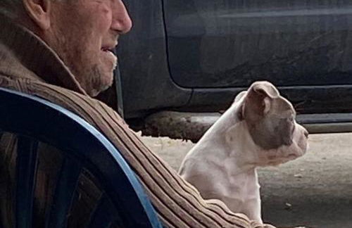 Ferien auf dem Eliesenhof - Foto 24