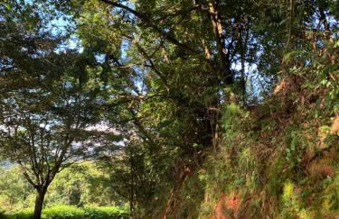 Mirante do Lago - Photo 37