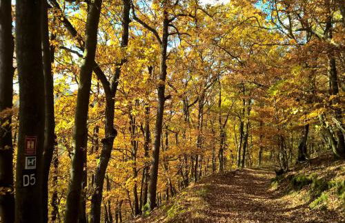 Ferienhaus Christina - Foto 30