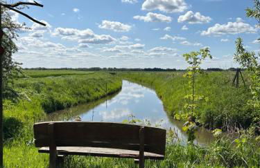 Reetdachtraum in Wischhafen - Photo 31
