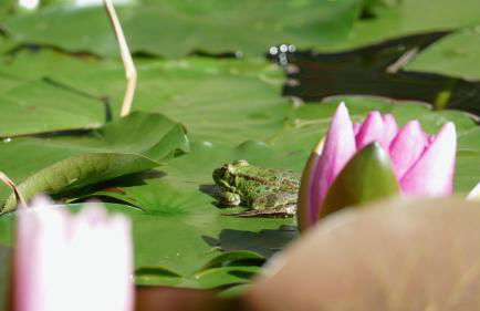 Domaine GEODORA, Parfumeur en Provence - Foto 47
