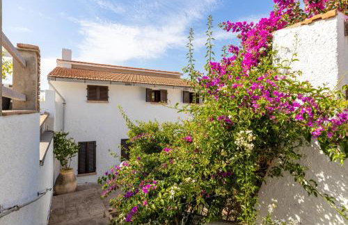 Casa Elena - Porto Alabe - Photo 29