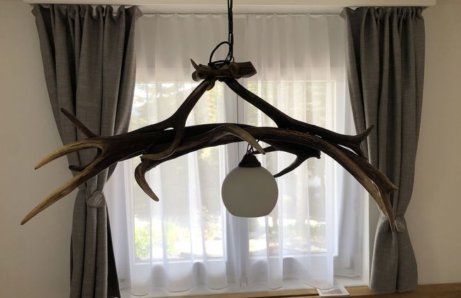 Renovated 3 Rooms Apartment in Ruschein Near Laax - Foto 2