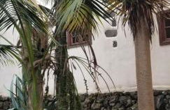 La Casita de la Vega - Foto 73