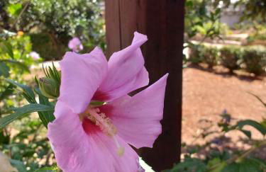 Il Lentischio holiday home - Foto 77