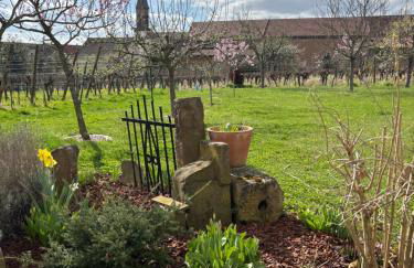 Gite des cigognes - Foto 36