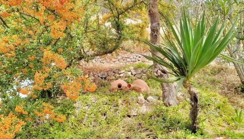 Cueva El Parral - Foto 5, Garden view