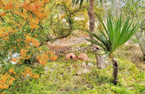 Cueva El Parral - Foto 5
