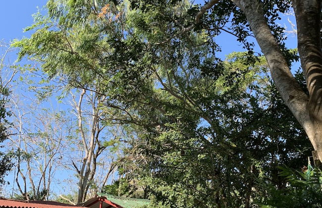 Casa Campomar - Foto 8