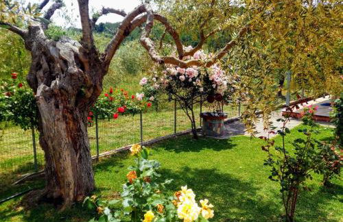 Villa Freedom - Koutsoubri Beach Evia - Foto 35